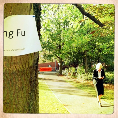 Kung_fu_walking