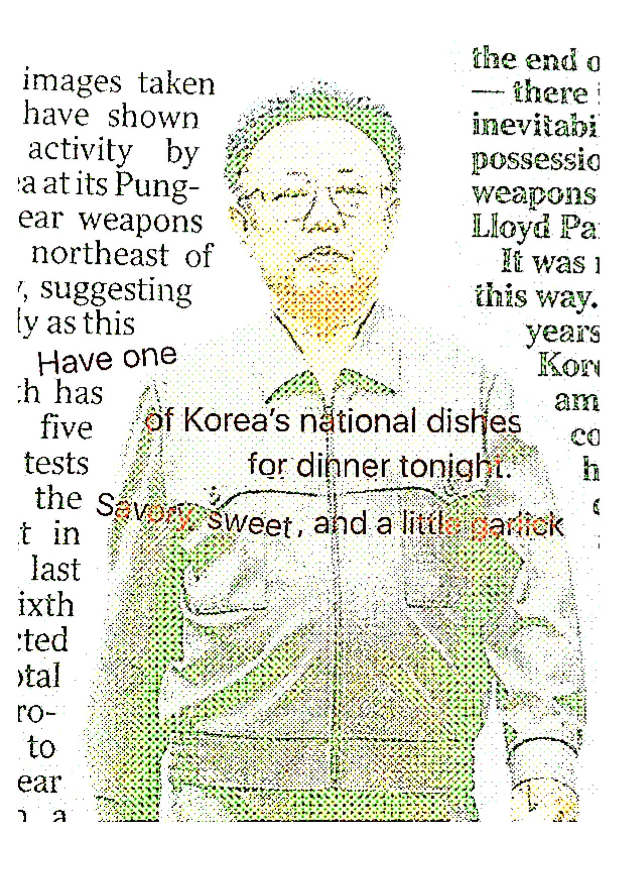 North Korea - print by Paul Conneally 'LIKE FATHER LIKE'